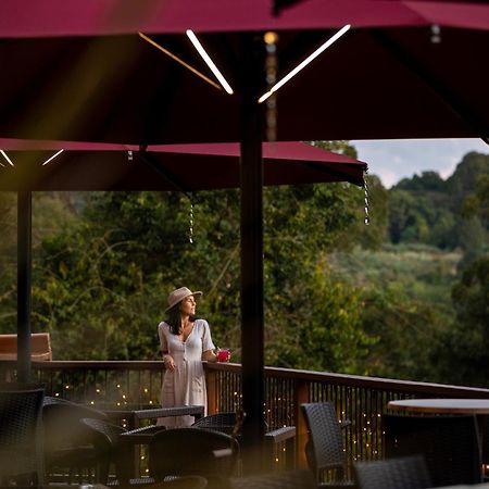 Kondalilla Eco Resort Монтвил Екстериор снимка