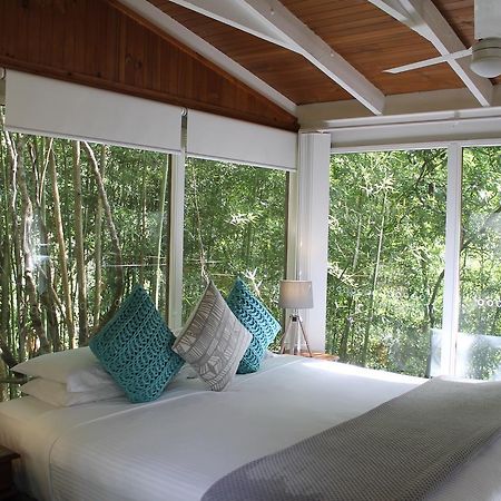 Kondalilla Eco Resort Монтвил Екстериор снимка