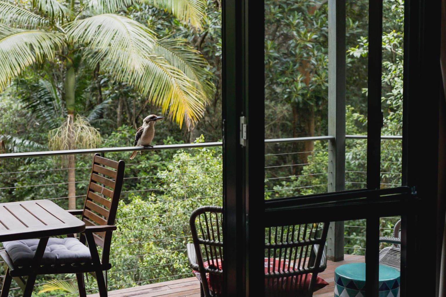 Kondalilla Eco Resort Монтвил Екстериор снимка