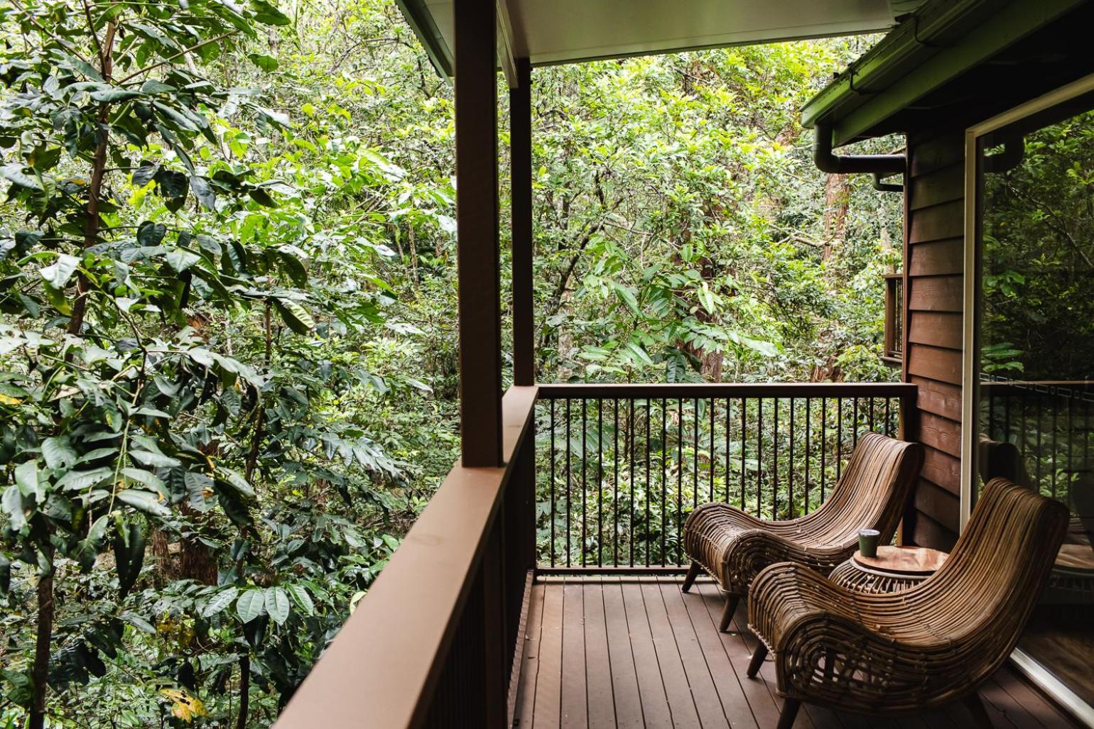 Kondalilla Eco Resort Монтвил Екстериор снимка
