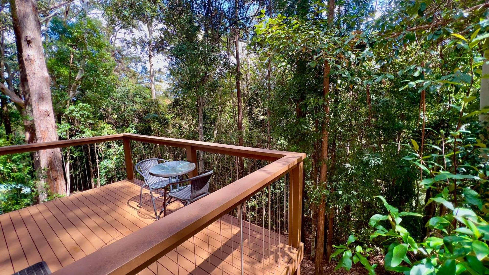Kondalilla Eco Resort Монтвил Екстериор снимка