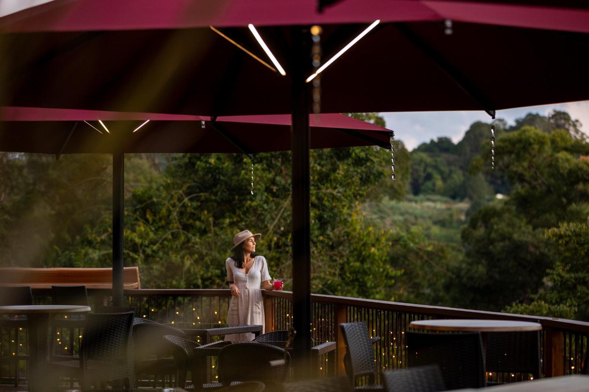 Kondalilla Eco Resort Монтвил Екстериор снимка