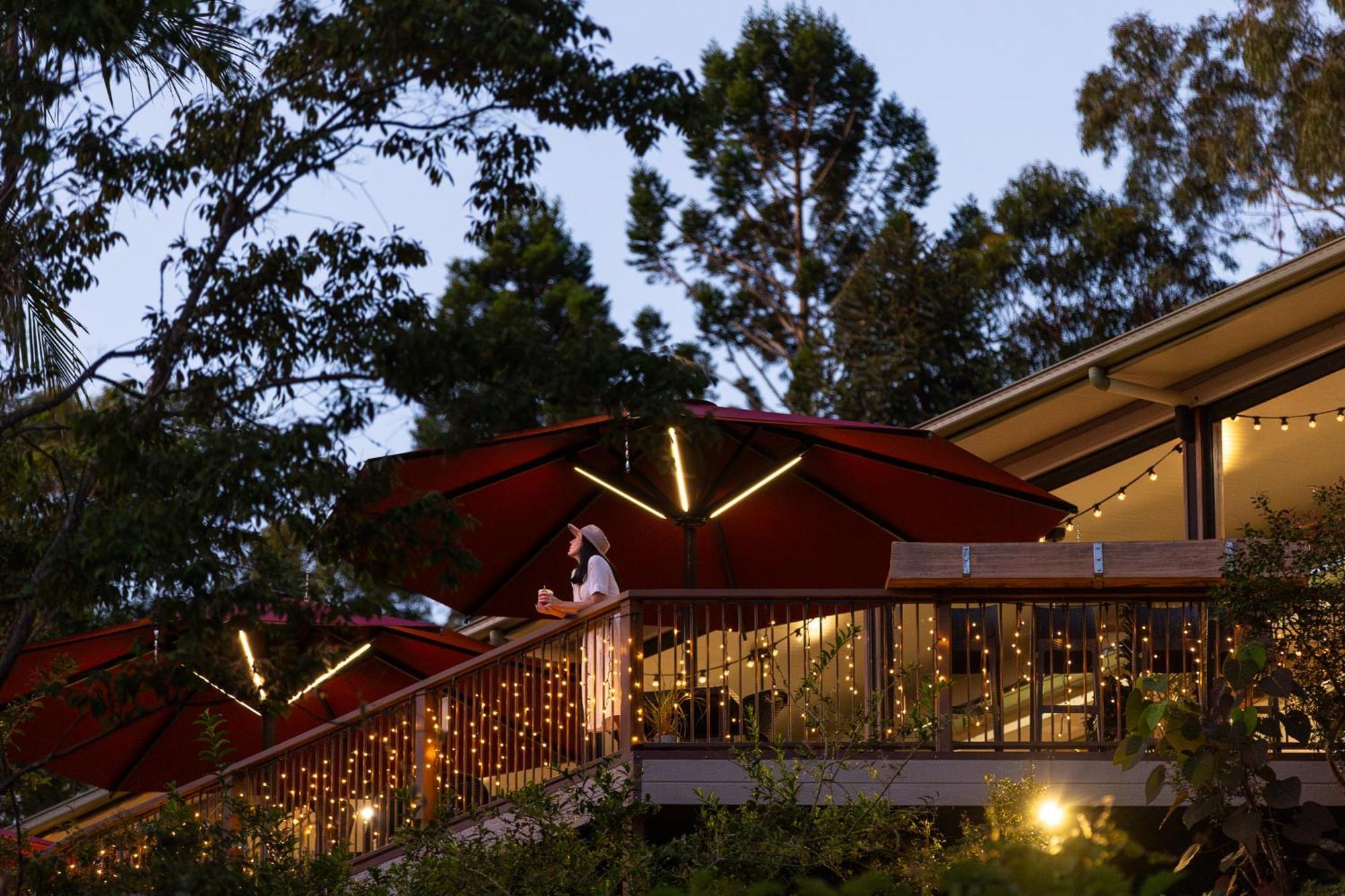 Kondalilla Eco Resort Монтвил Екстериор снимка