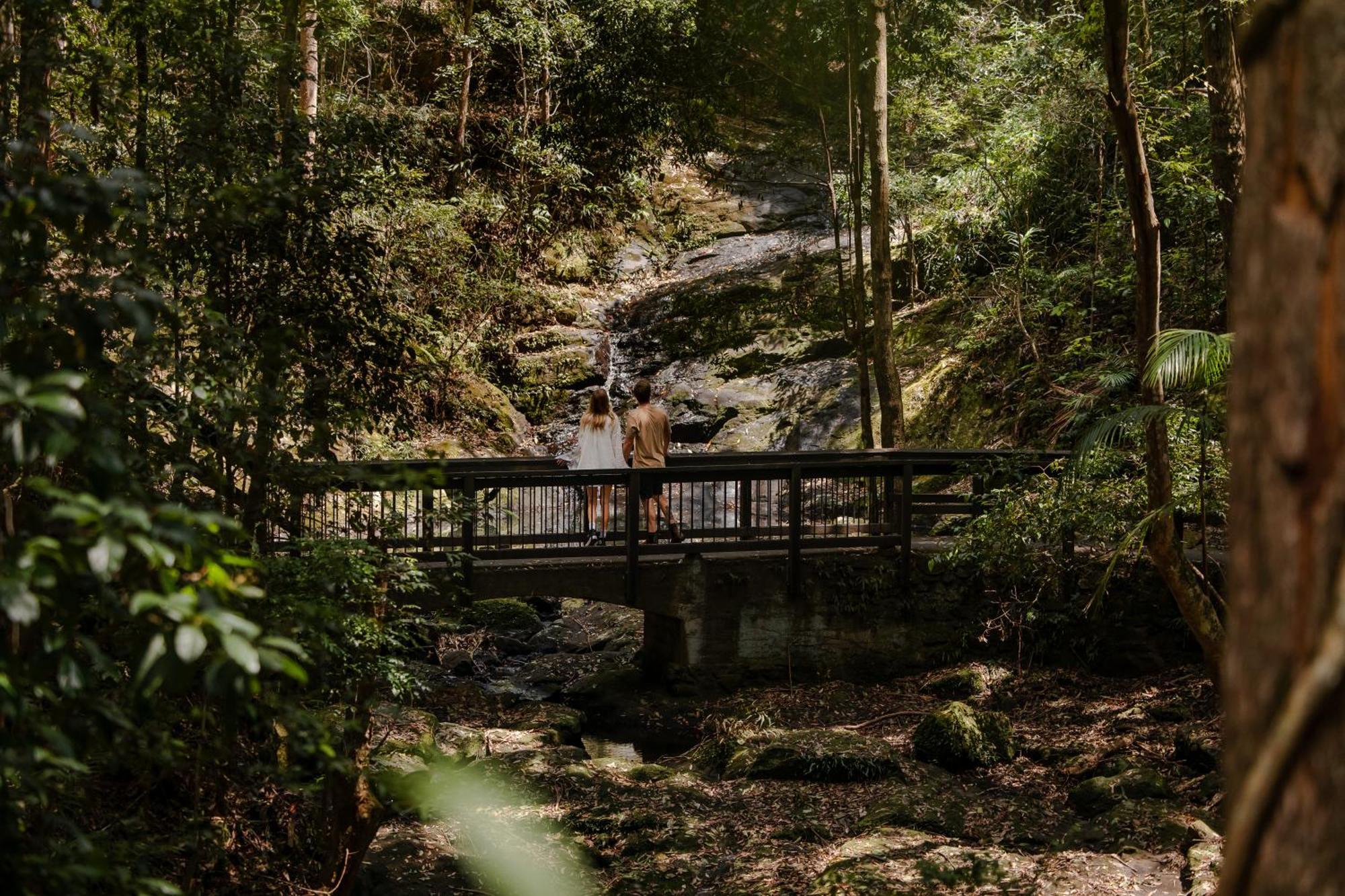 Kondalilla Eco Resort Монтвил Екстериор снимка